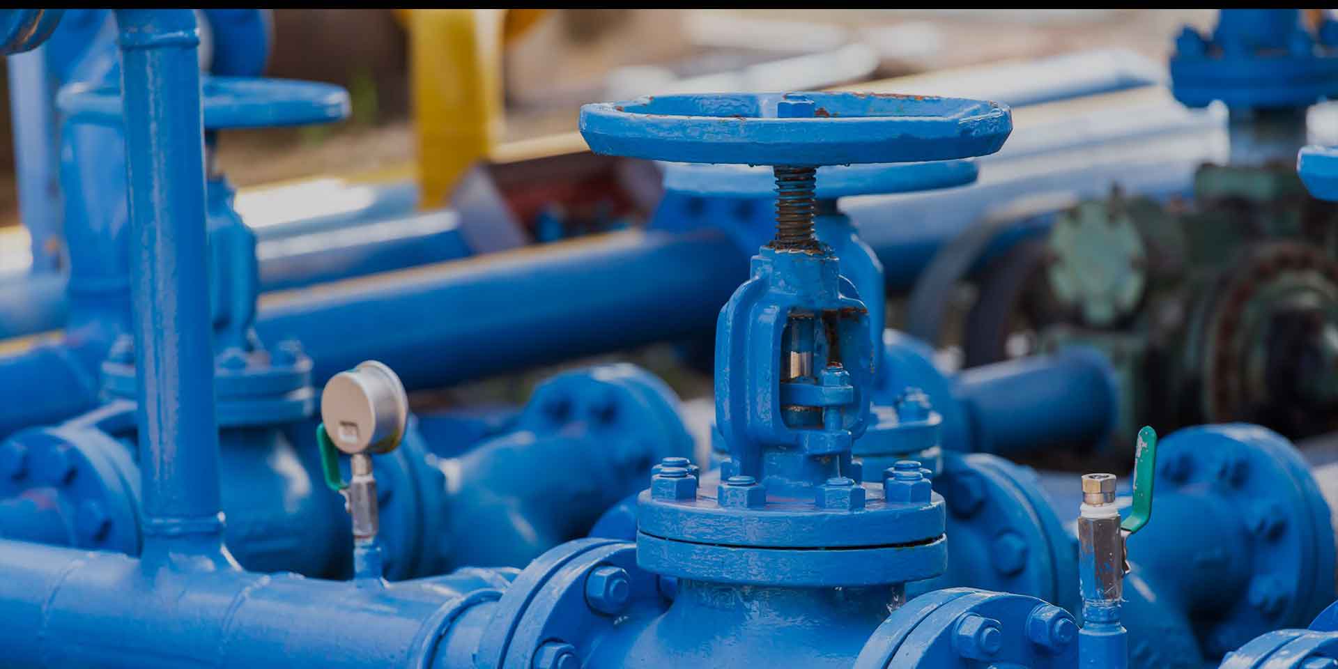 Changshui Technology Group Co, Ltd.