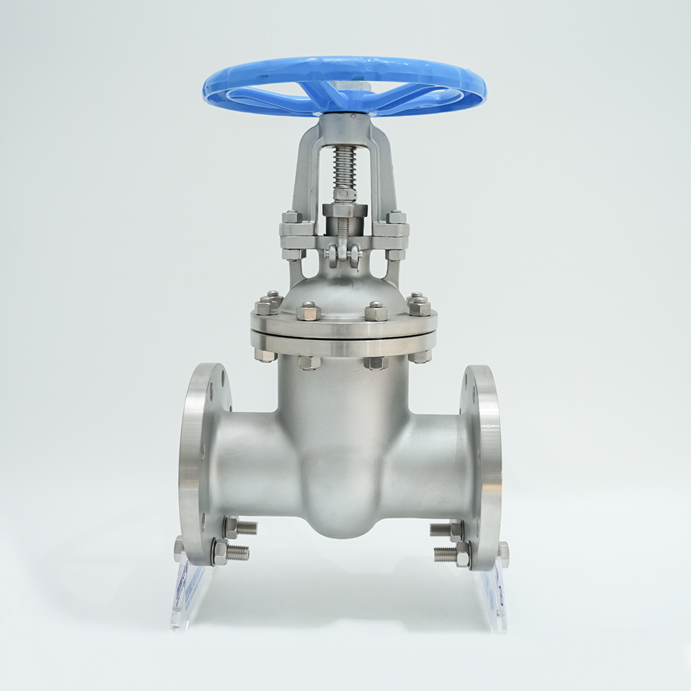 Porta Valvae Z41W-16P . immaculata Steel Flange