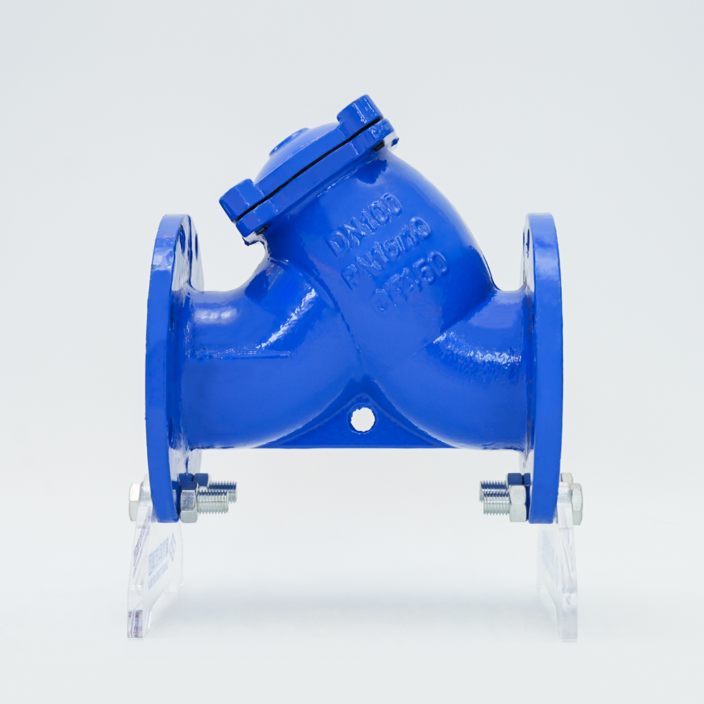 Iacta ferrum Y-type Filter GL41H-16Q