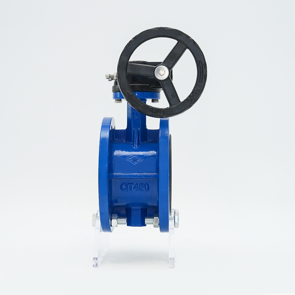 Turbine Flange Papilio Valve D341X-16Q