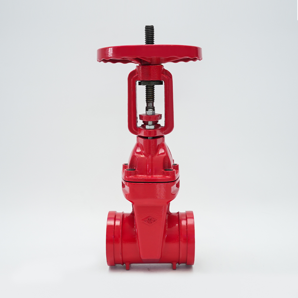 Sulcata Stem Porta Valve Z81X-16Q