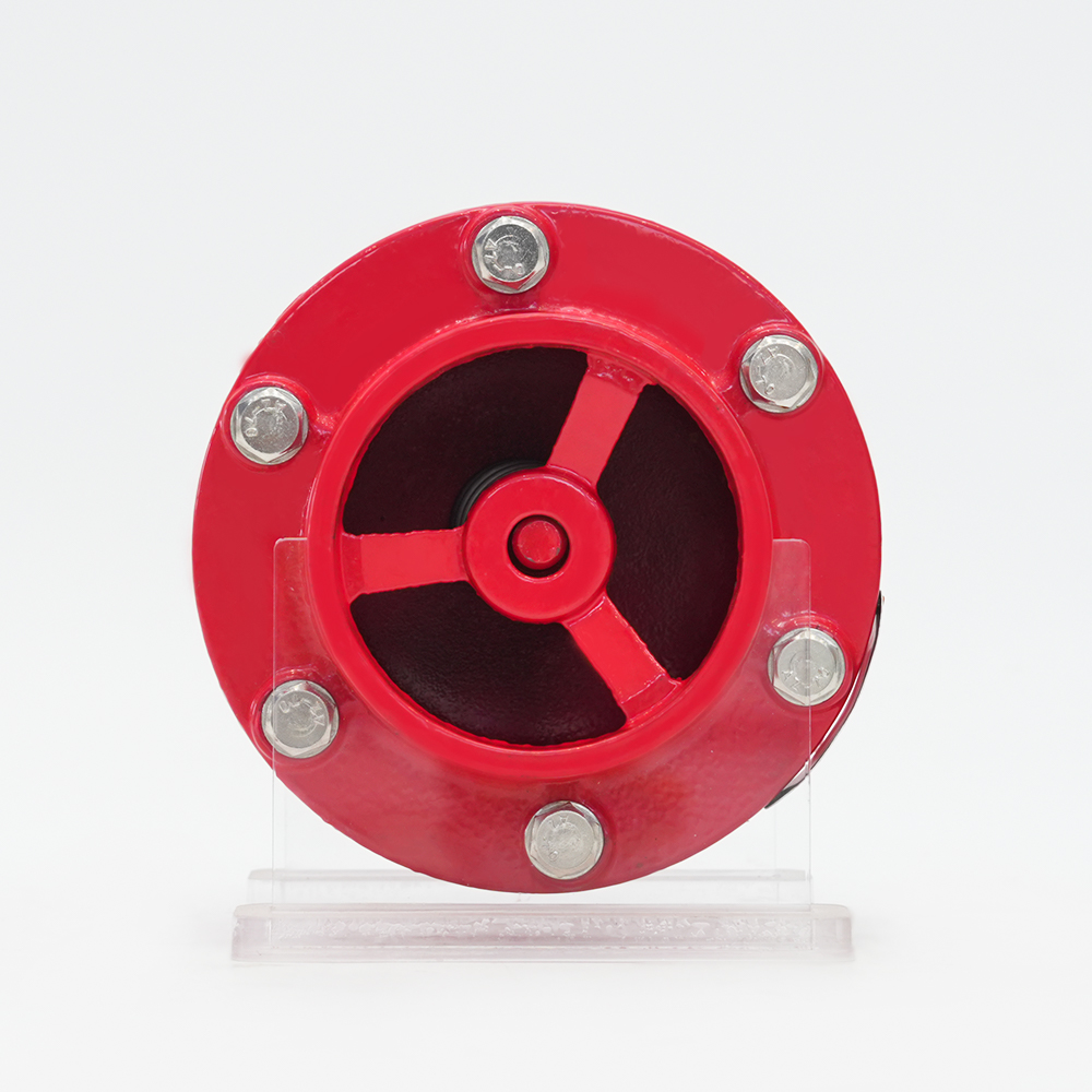 Sulcatus Silencer Check Valvae GHC41X-16Q