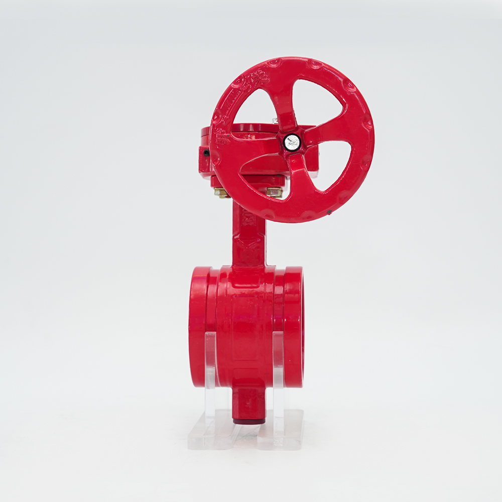 Turbine Groove Papilio Valve D381X-16Q