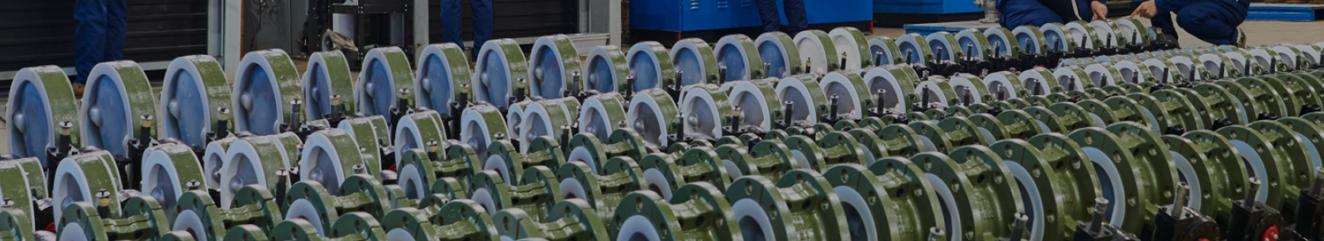 Changshui Technology Group Co, Ltd.