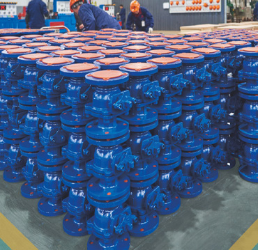 Changshui Technology Group Co, Ltd.