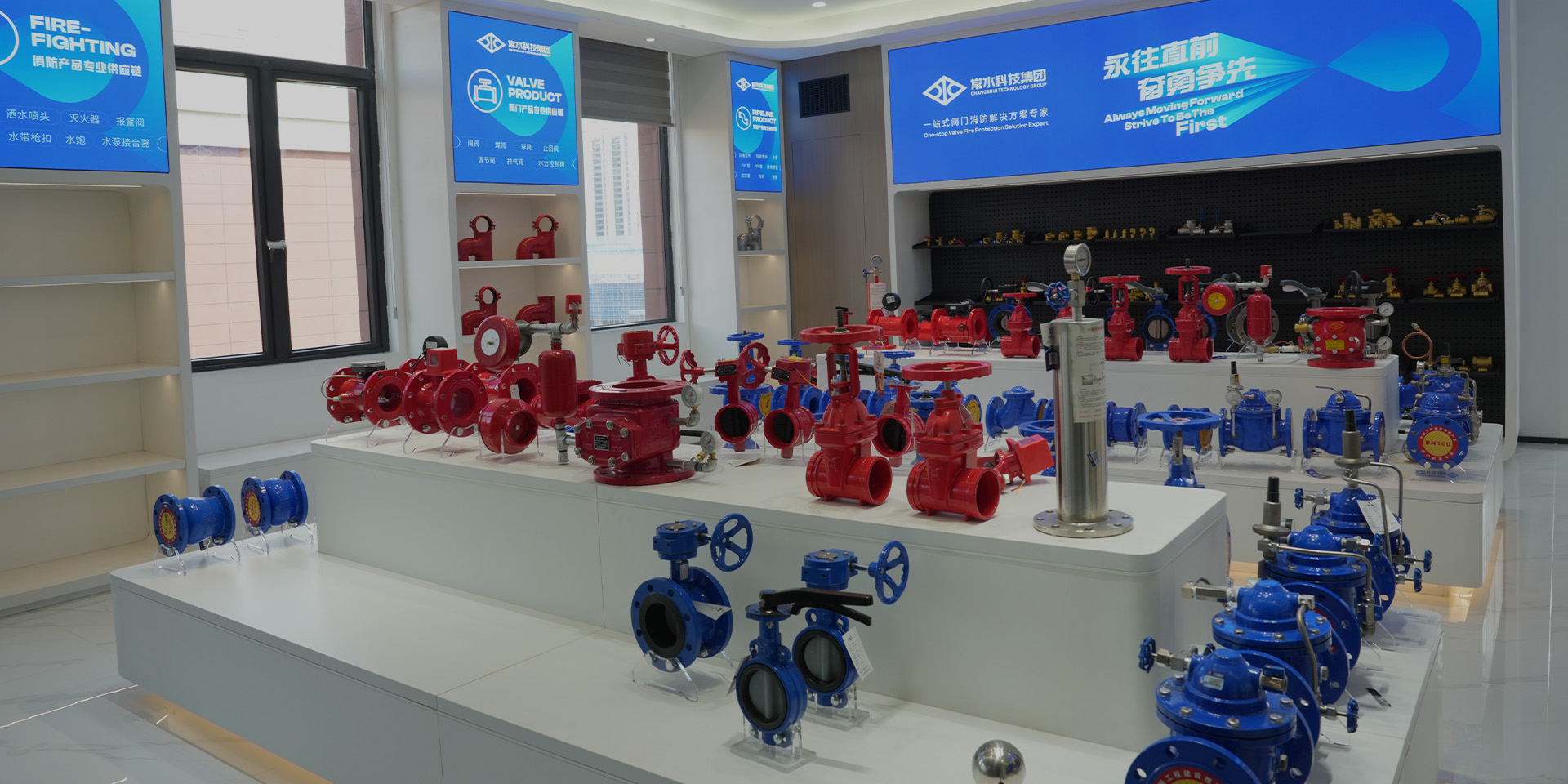 Changshui Technology Group Co, Ltd.