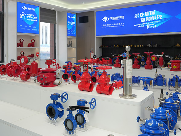 Changshui Technology Group Co, Ltd.